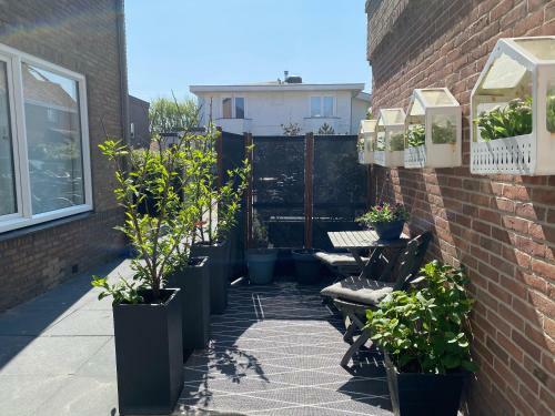 Apartamento Shorestay Zandvoort Beachhouse