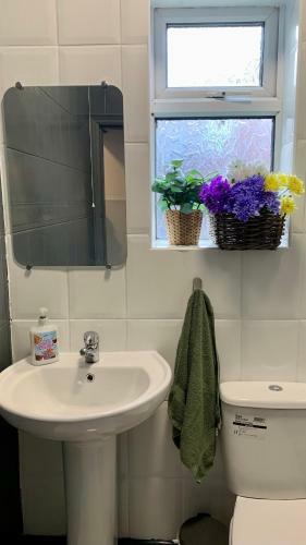 Apartment In City Centre, 4 Guests, Car Park