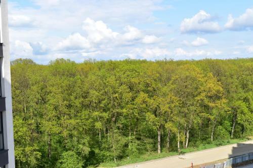 Forest View Apartment 2
