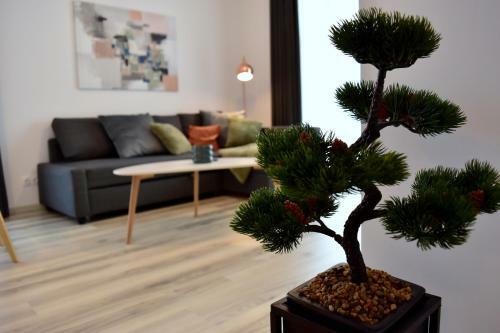 Forest View Apartment 2