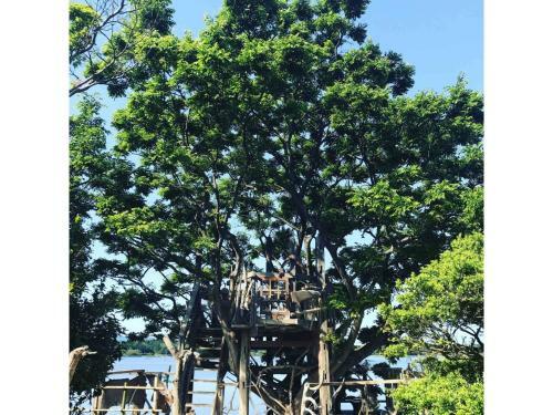 Lake Front House Aozora - Vacation Stay 27631v