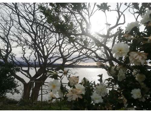 Lake Front House Aozora - Vacation Stay 27631v