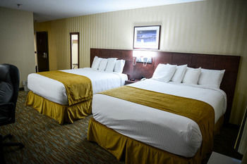 Hotel Sinbad'sand Suites- Standard