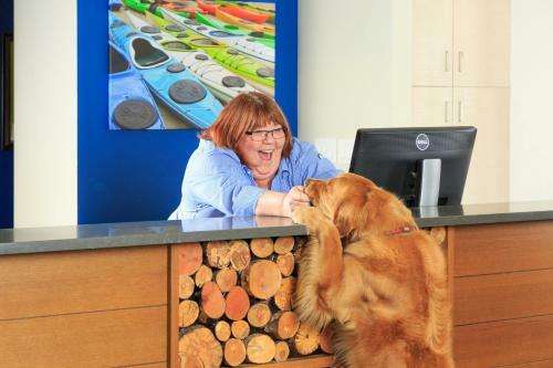 Hotel Accent Kamloops
