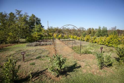 Agroturismo Agriturismo Bannata