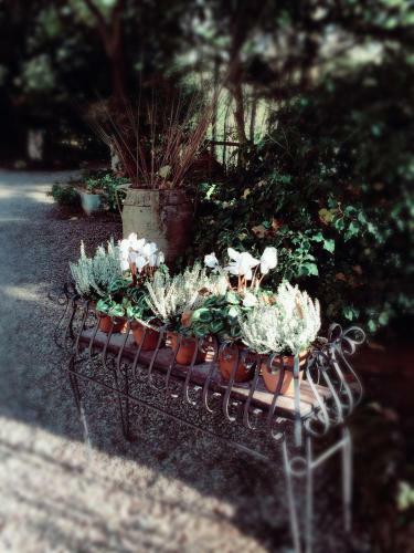 Country Hotel Ristorante Querce