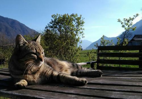 Agritur Airone Bed & Camping