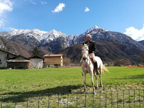 Agritur Airone Bed & Camping