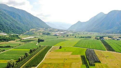 Agritur Airone Bed & Camping