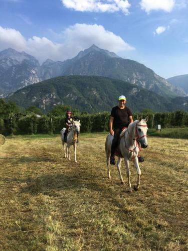 Agritur Airone Bed & Camping