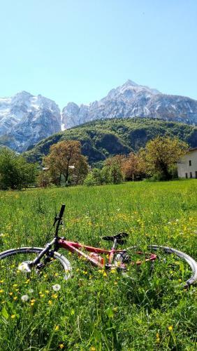 Agritur Airone Bed & Camping