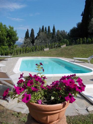 Apartamento Il Palagetto