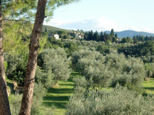Apartamento Il Palagetto