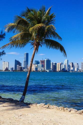 Beautiful Boho Apartment Minutes Away From Calle 8