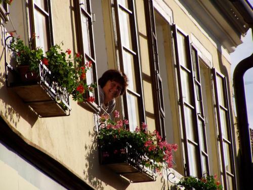 Hostal Penzion Vintage