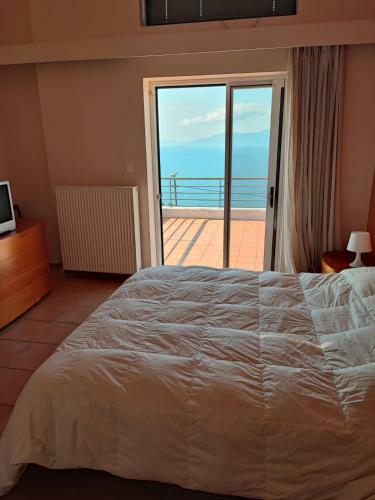 Villa Vila Amalia