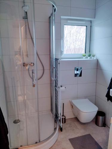 Apartament Zacisze Olo
