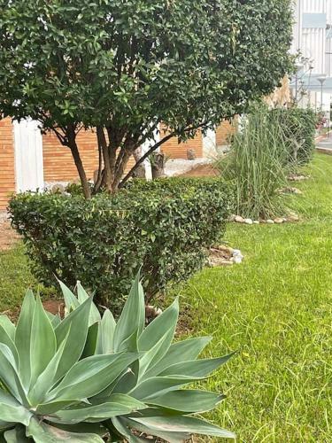 Apartamento Appartement ??los Pinos?? 50m de La Plage