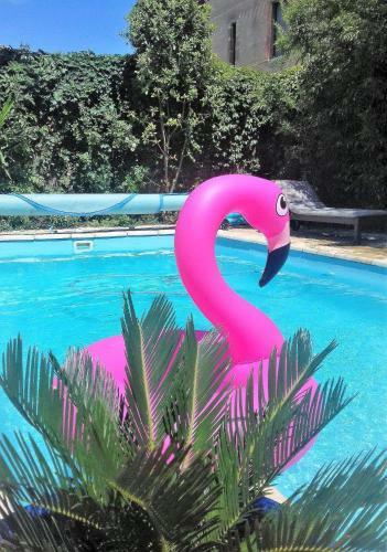 Bed & Breakfast Lavilladecarcassonne