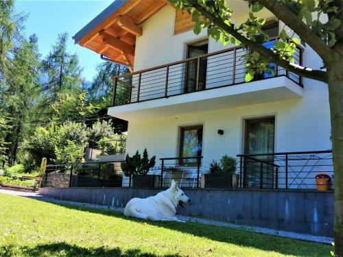 Welcoming Apartment In Dimaro Close To The Centre
