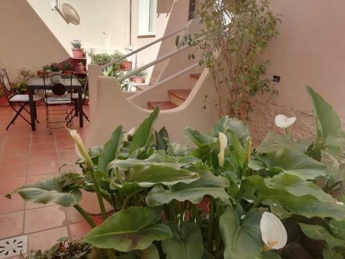 B&B Sa Madalena A Dorgali-iun E4918
