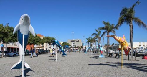 Apartamento Situado Na Zona Costeira Da Cidade