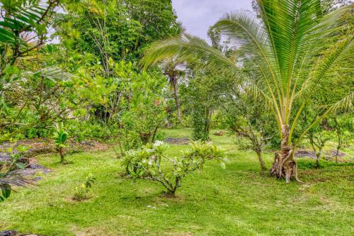 Uli Kai Paradise