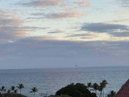 Apartamento Ocean View 2 Bedroom Downtown Condo Condo