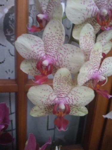 Apartamento Casale