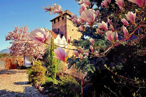 Schloss Hotel Korb