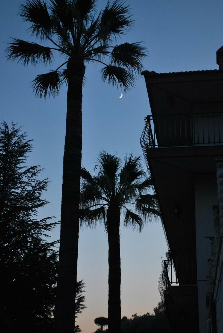 B&B Villa Artemide