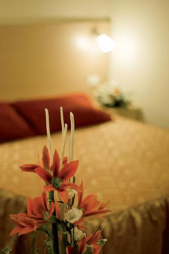 Hotel Granducato