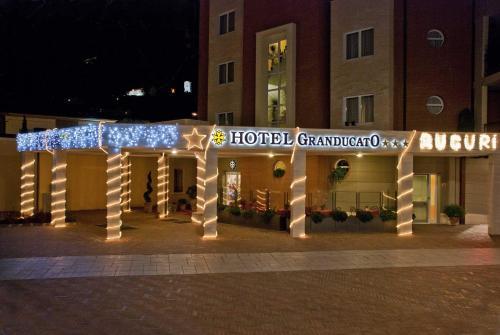 Hotel Granducato