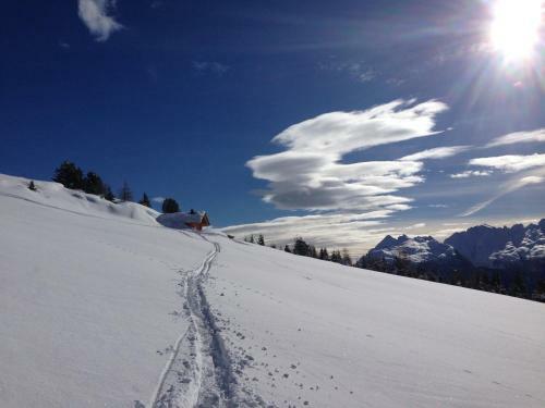 Cimon Dolomites Hotel