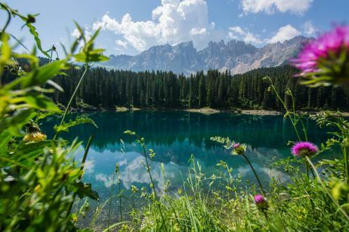 Hotel Moseralm