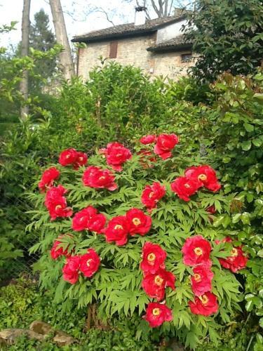 B&B Nel Borgo Scipione