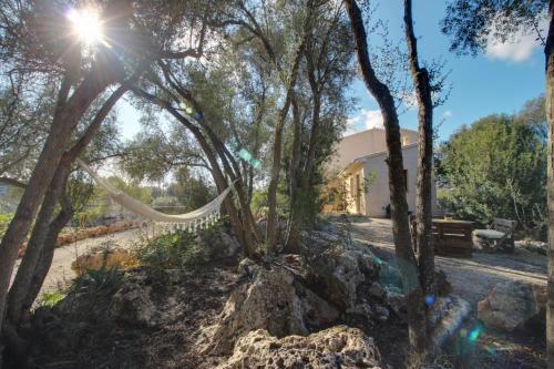 Villa Costitx