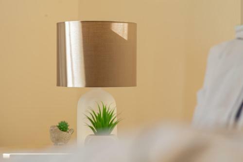 Whitland Apartment
