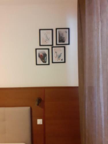 Apartamento Via Malpighi