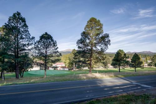In The Pines
