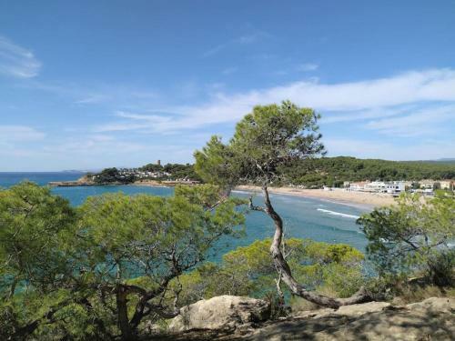 Villa Conca De Barber�