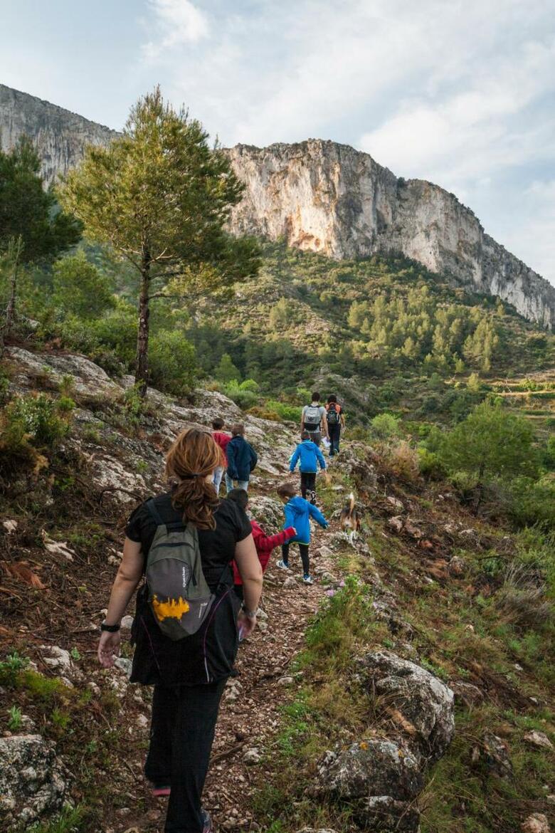 Camping Alberg Tivissa