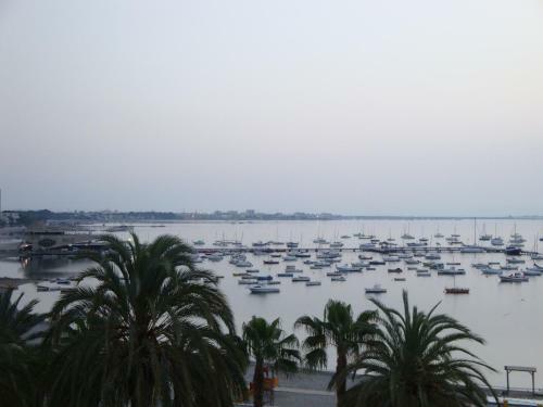 Hotel El Marino