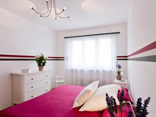 Apartment Junior Suite-6