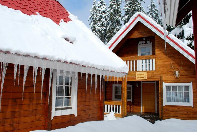 Villa Ski Chalet Borovets