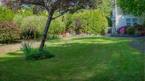 Bed & Breakfast Kye Bay Bnb - A Place To Breathe