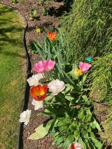 Bed & Breakfast Kye Bay Bnb - A Place To Breathe