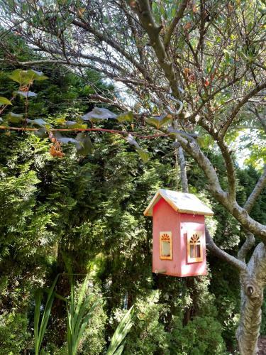 Bed & Breakfast Kye Bay Bnb - A Place To Breathe