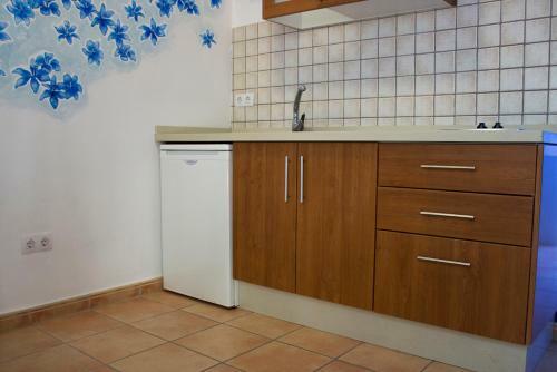 Apartamentos Concha