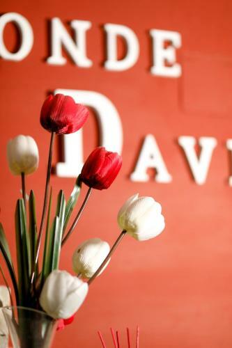 Hostal Conde David